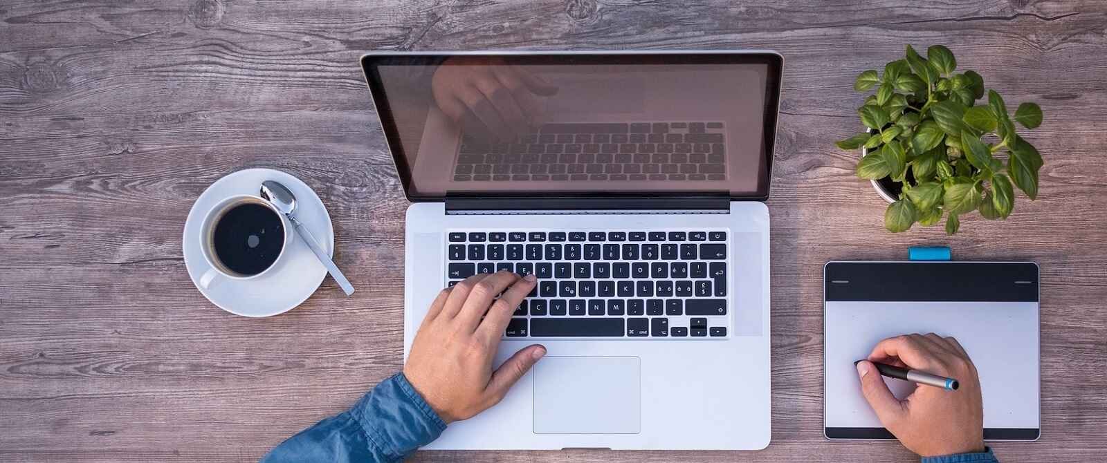 Web Design and Development Agency